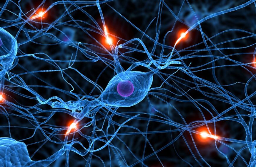 Tras ocho años investigando, científicos chilenos realizan crucial descubrimiento sobre las neuronas